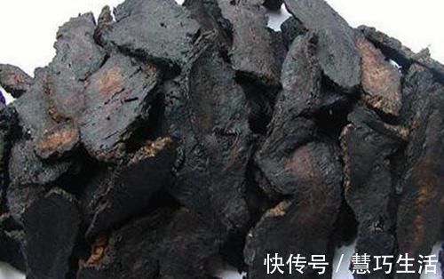 中医|膝盖像生了锈的轴承,一动就咔吱响?一碗养筋汤,搞定腰膝酸痛