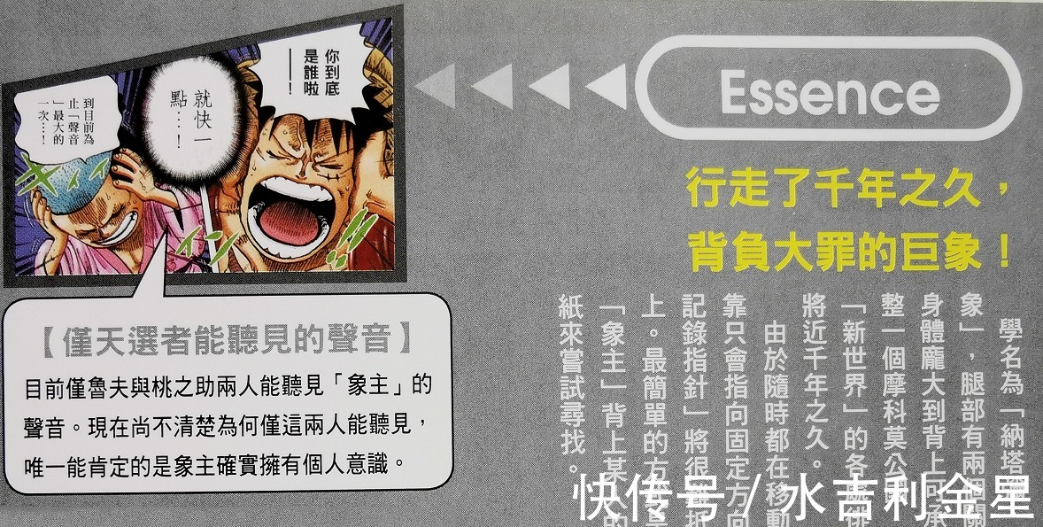 情报|海贼王官方情报身高超35000米，一鼻甩飞三灾JACK, 巨大生物象主