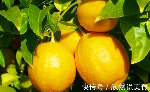 柠檬水|女性到了中年,常吃4种食物,补充营养,延缓衰老,滋补身体