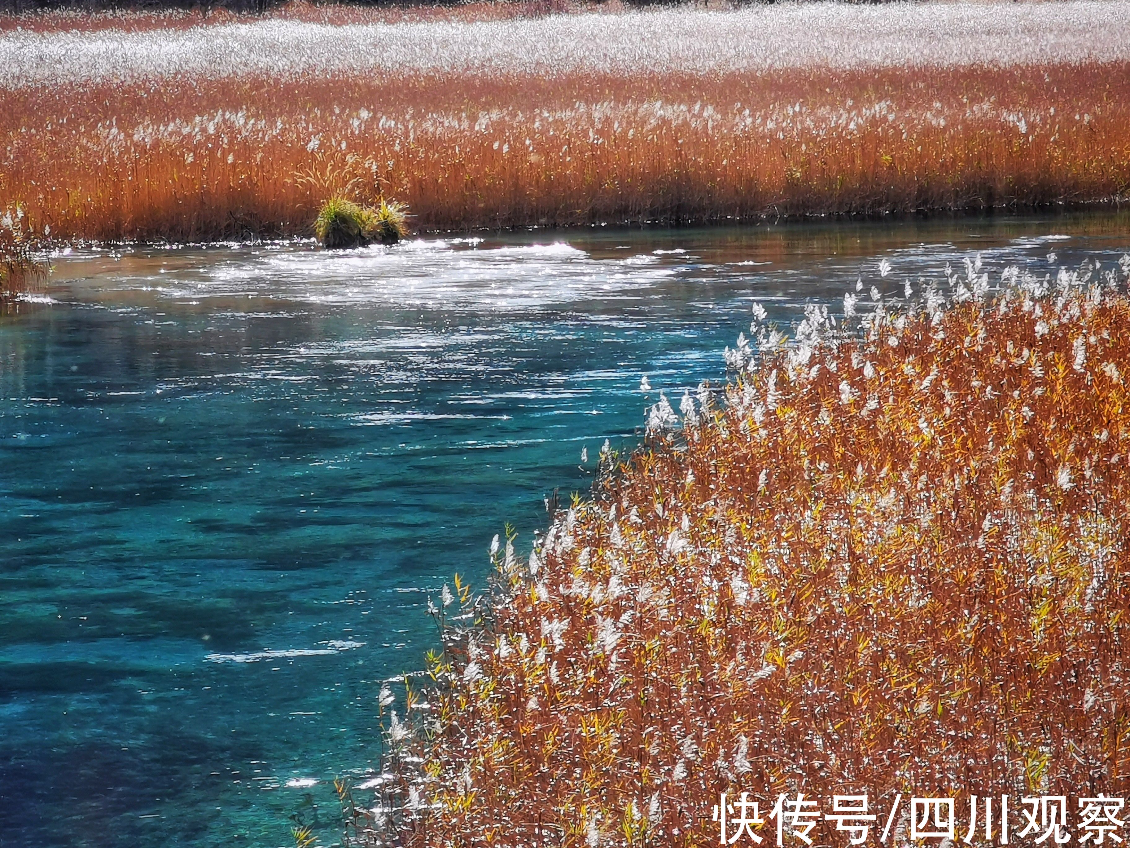 精品线路|悠游三九大①国际旅行商代表青睐这三条四川旅游精品线路