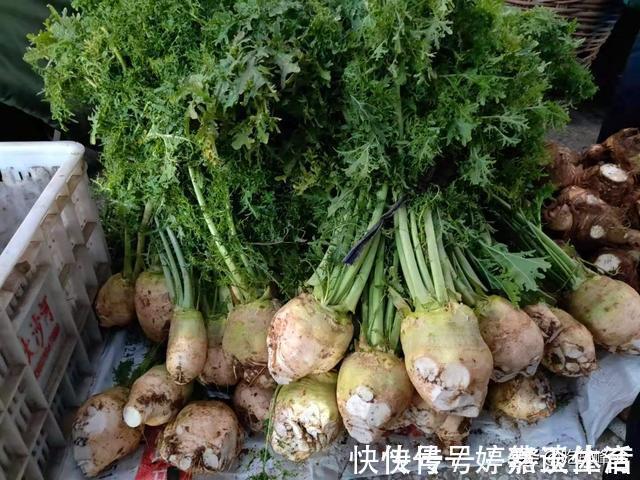 腌芥菜|买菜开销大?那是你不会买,晒晒我家一周买的菜,7天不用90元