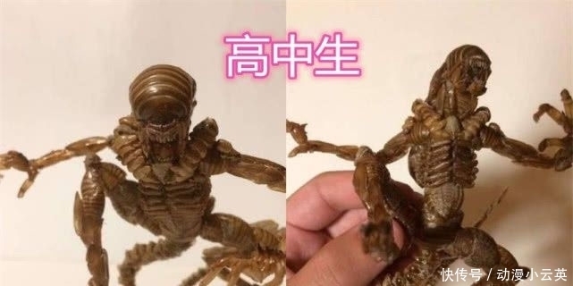 小学生|“知了”被虐很惨?大学生直接吃,高中生做手办,小学生简直魔鬼