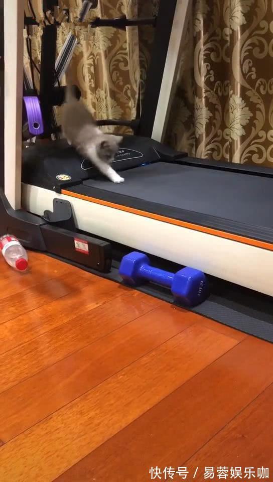 装修|闲置率极高的4件家居用品，都是失败的教训，不要再跟风买了