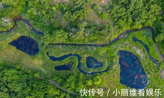 景色|内蒙一景区走红，被称为“天然氧吧”，距市区2小时车程