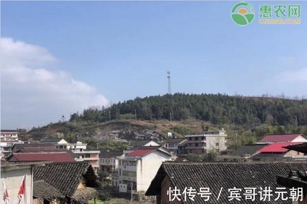 宅基地|农村户口没有宅基地怎么办申请宅基地需要满足什么条件