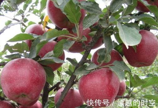 孩子|婆婆每天给女儿吃煮熟的苹果,一个月后孩子身体了出现惊人的变化