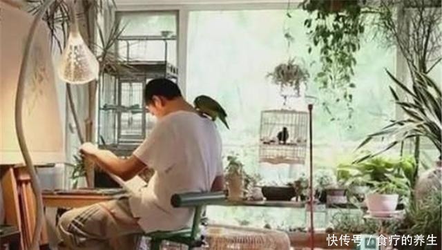 爱迪生|“最强大脑”王昱珩清华毕业不上班，带女儿游历世界各地