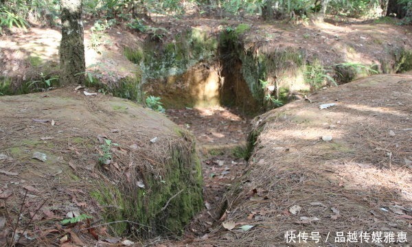 新28师|惨烈的滇缅之战:中国炮兵含泪轰炸战友,日军被逼吃同伴自焚军旗