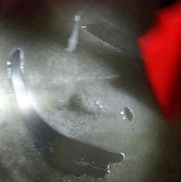 山楂加冰糖,教你在家自制“糖雪球”,5分钟学会,山楂酸甜可口