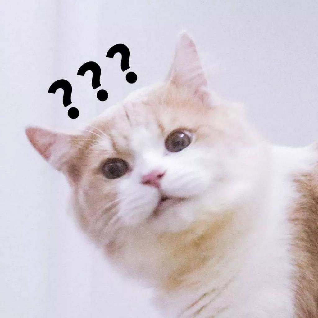 20来块的指甲油、7块的小零食,最近买到的都是些什么宝藏哇!