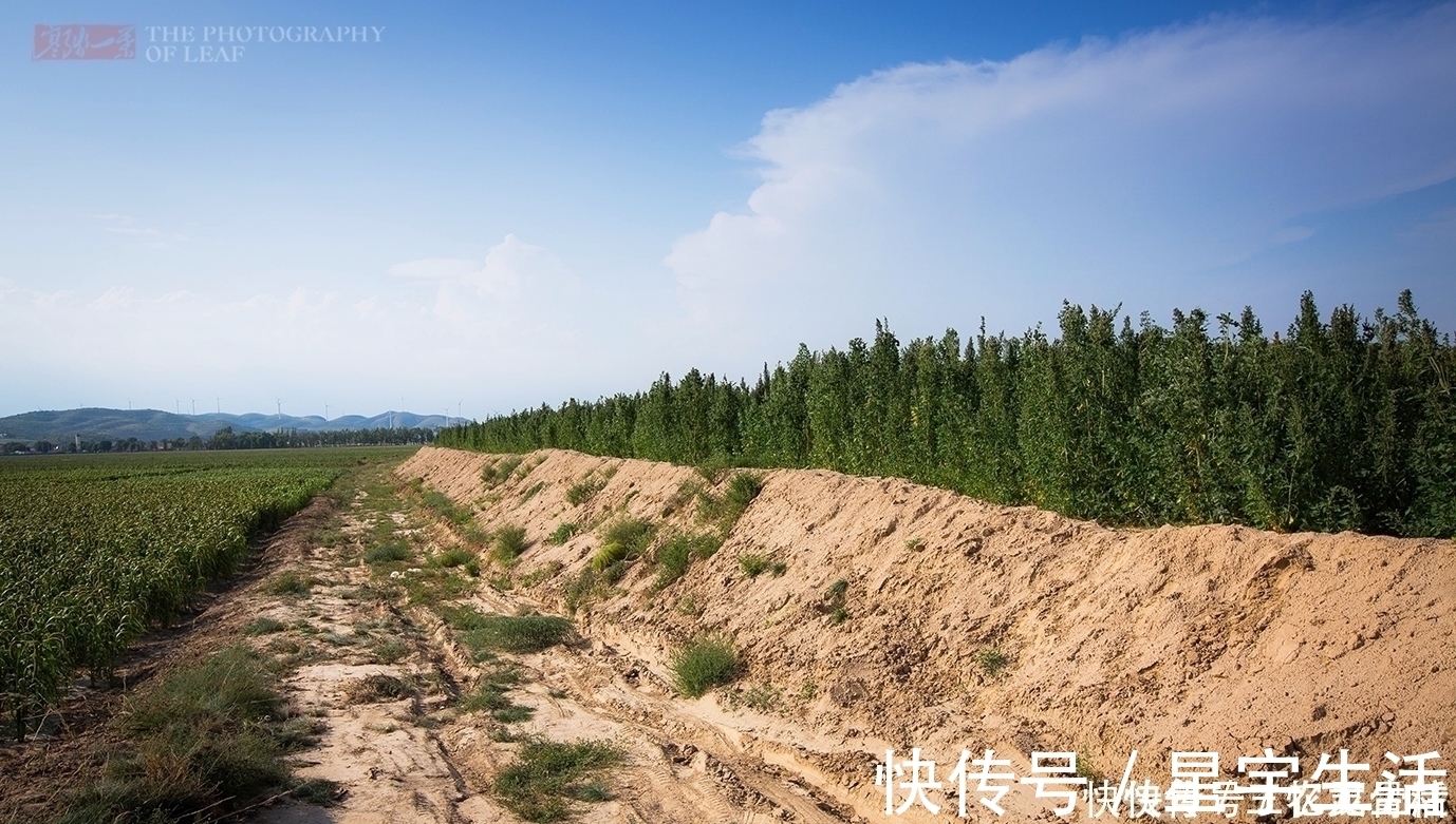 苦甲天下！中国人又一伟大壮举！一张塑料膜，将寸草不生的黄土高原变成绿洲