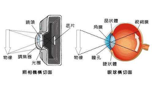 近视|孩子有“近视眼”如何恢复？这3种训练办法，越早知道越容易恢复