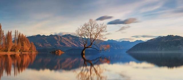 偏执|做人需圆融,忌偏执,急躁