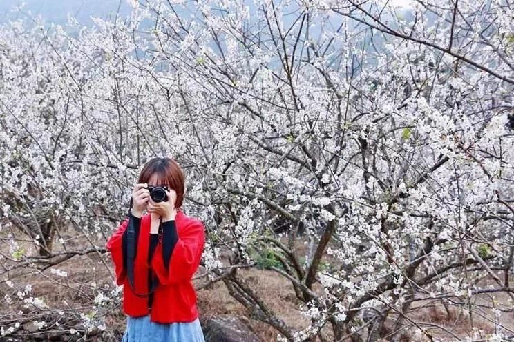 老年|成都周边3个登山踏春地，适合春节1天来回，登山洗肺免门票