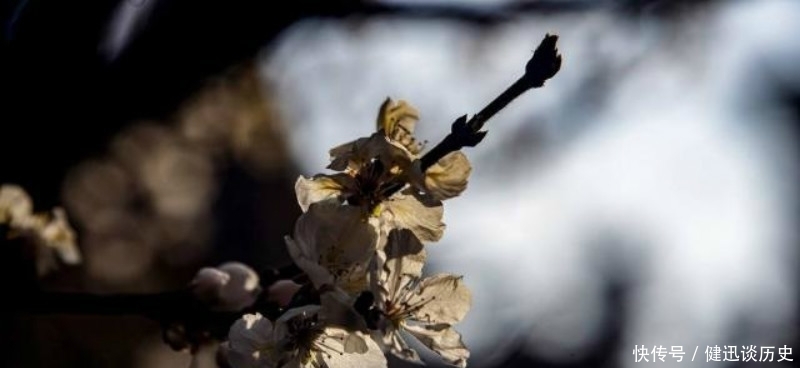这位|宋朝这位诗人典型的诗红人不红,但一首诗却是流芳百世,成为名篇