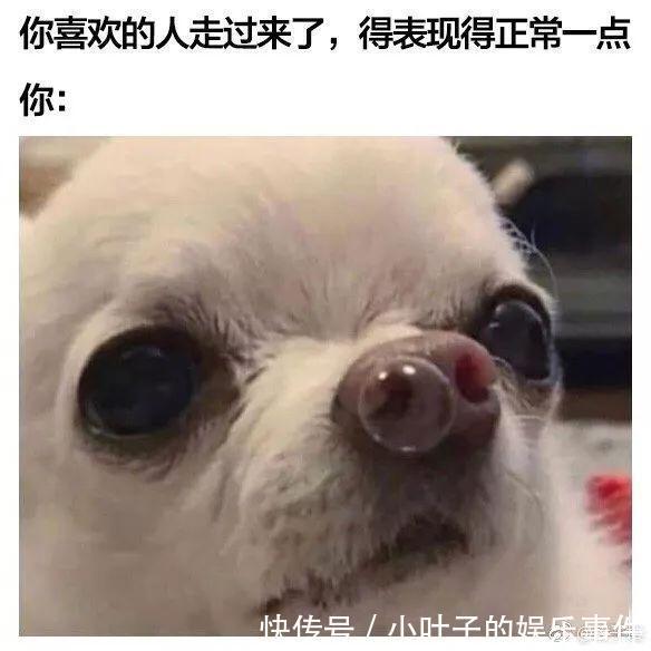 |听说想看低成本cos的漂亮小姐姐  冷段子1383 & 去年今日1073