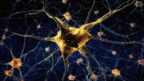 痴呆|4道老年痴呆测试别花时间想,第一反应作答,是否痴呆一测即知