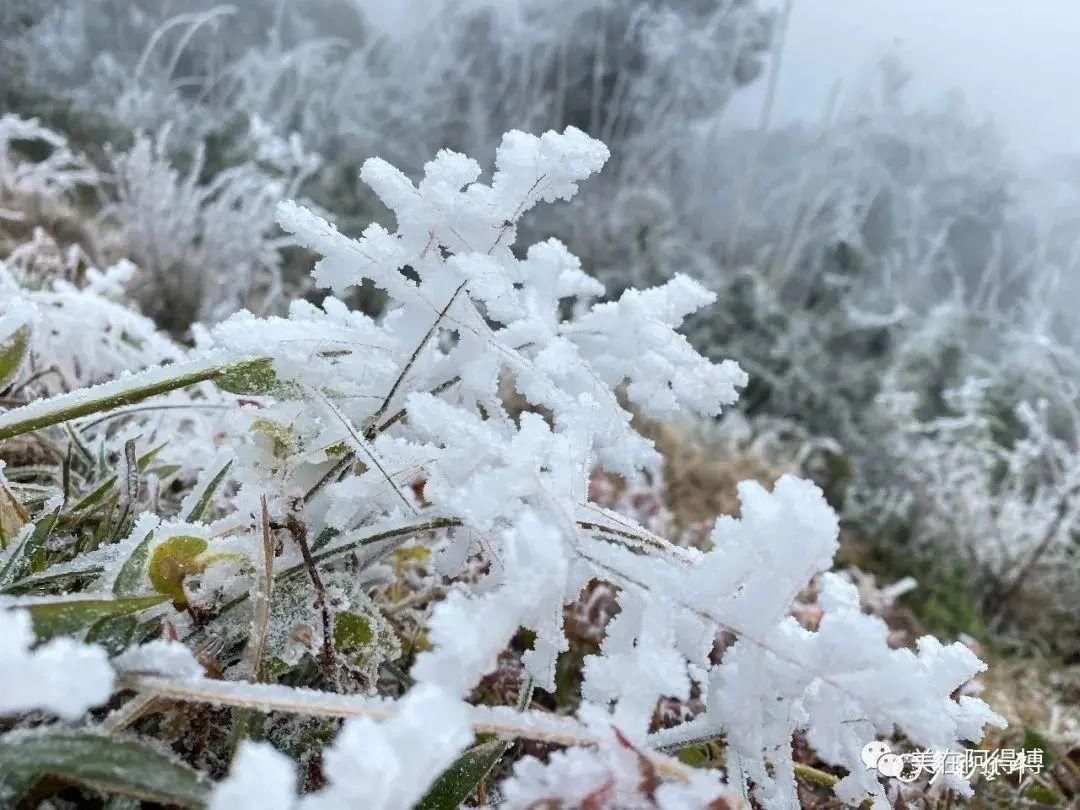 记忆 ｜寒潮再次来袭，还记得前几天的雪吗？