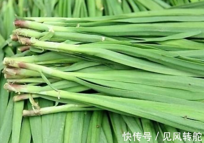 韭菜保鲜建议别放冰箱,教你2种韭菜保鲜方法,韭菜不烂根不黄叶