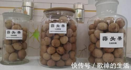 神经细胞|抗衰老“小秘方”,就藏在日常的小食物中,常吃或能助你延缓衰老