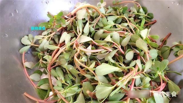 马齿苋正鲜嫩,既是美食又是良药,教你新吃法,上桌全家都抢着吃