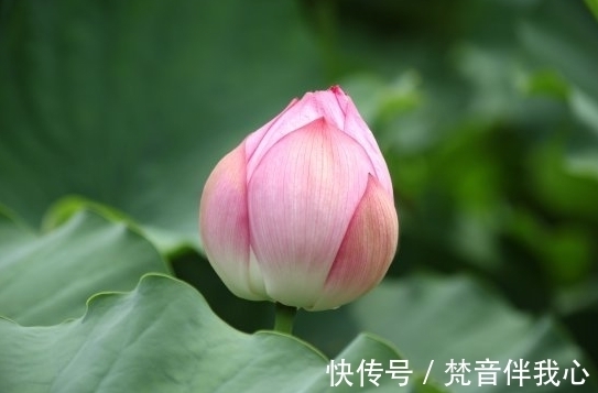 甜蜜蜜|进入10月底，4属相运势春风得意，大发横财，日子甜甜蜜蜜