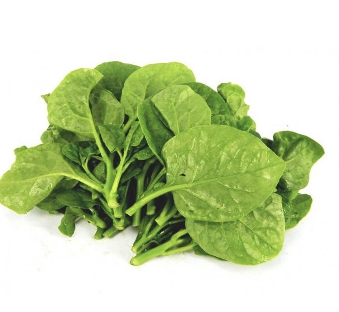 清热解毒|到了立秋,体内还有湿气它是“祛湿之王”,排毒祛湿,滋补气血