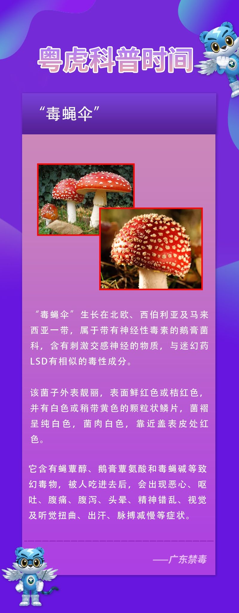 动画电影|红伞伞白杆杆 ，吃了马上躺板板……当心这些美丽的“毒物”！