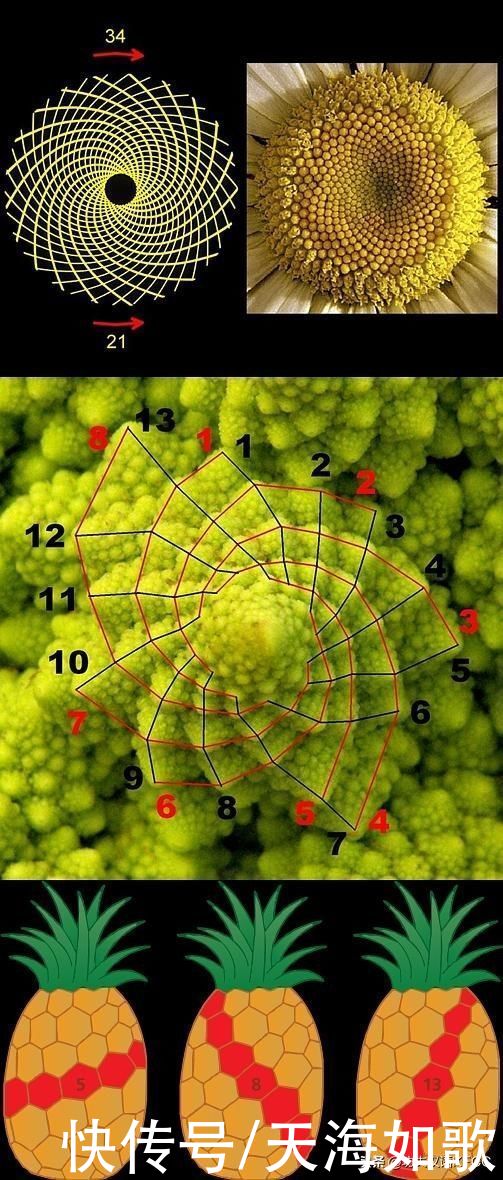 年轻教师管不好班级纪律？开学第一节课这样上让孩子快速进入状态