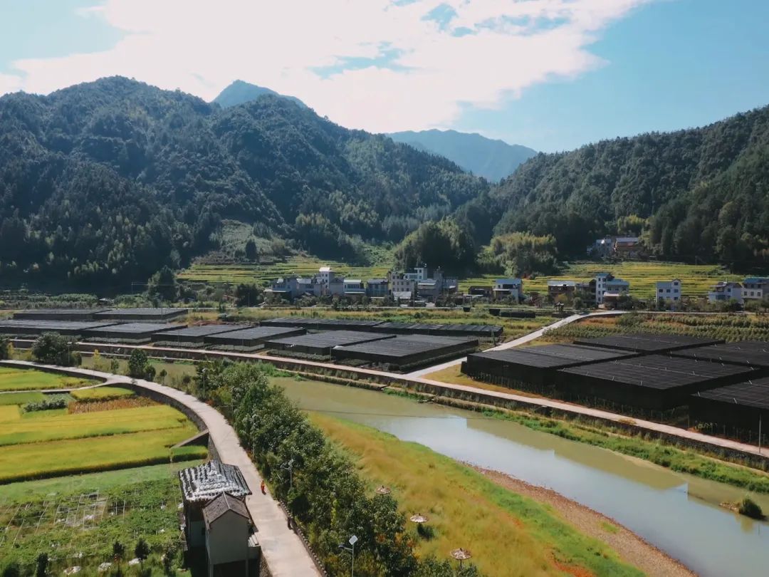 庆元周边的神仙古村，周末隐居刚刚好！|庆元村落 | 覆盆子