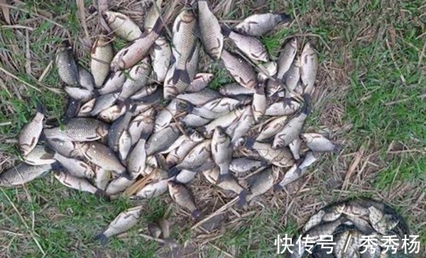 节气|冬季钓鱼,久坐无鱼咬钩,其实未必是天冷,原因更可能是这些!