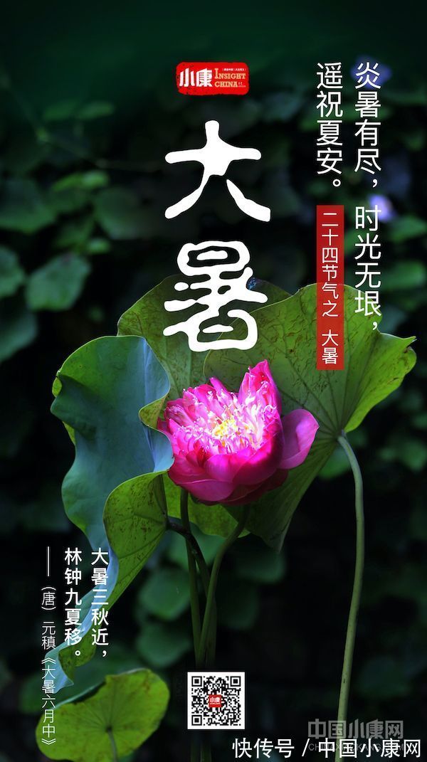 翠竹亭亭!万物有时 岁月成诗:打开二十四节气的另一种方式