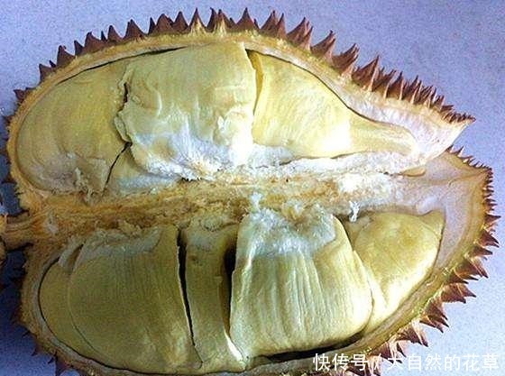 买榴莲时,牢记这3个小诀窍,保证买到的榴莲软糯又香甜,皮还薄