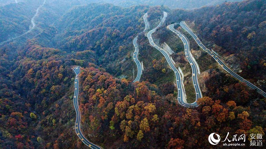  山路|航拍最美山路 俯瞰大别山层林尽染