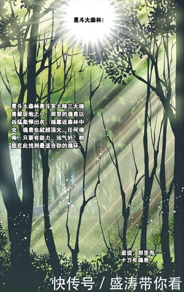 大森林|《斗罗大陆》:出发吧,星斗大森林