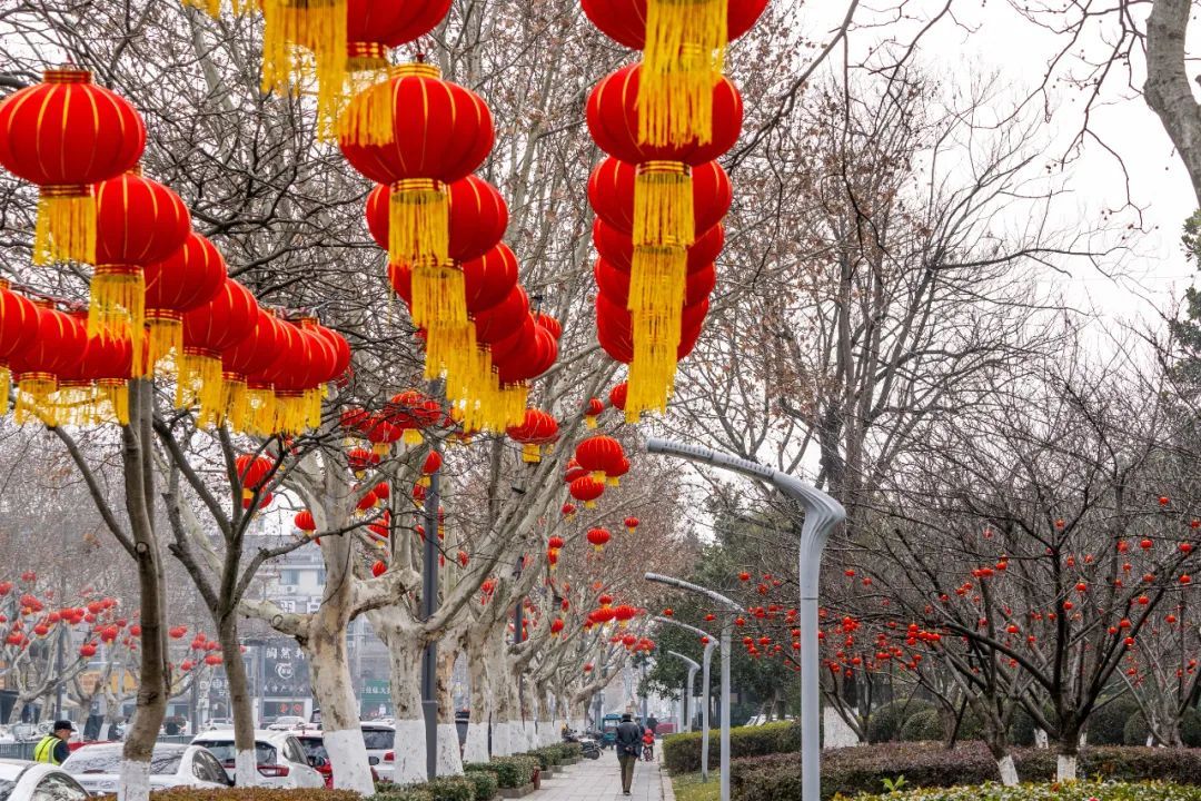 风景|【风景独浙好】红了！浓了！