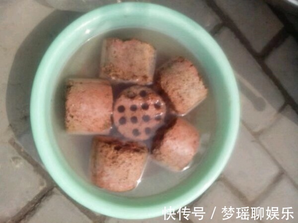 路边“捡”3种废弃物,开水烫一烫,养绿萝君子兰“根粗叶绿”