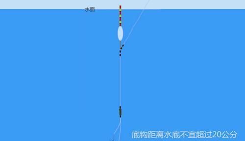鱼钩|钓鱼调漂技巧：想要调漂更准确，这三点绝对不能忽视！