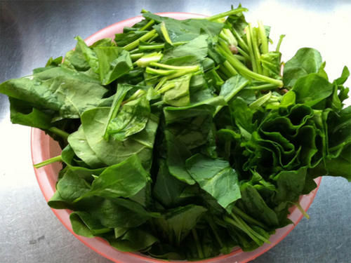 女性来“姨妈”，多吃4种食物，滋阴养肝，呵护子宫，排出毒素