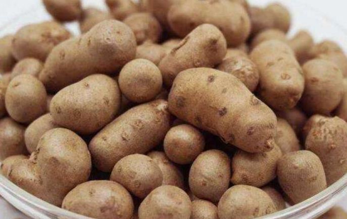 食物|女人想变美,不妨常吃以下食物,健脾健胃、补肾养阴,早知早好