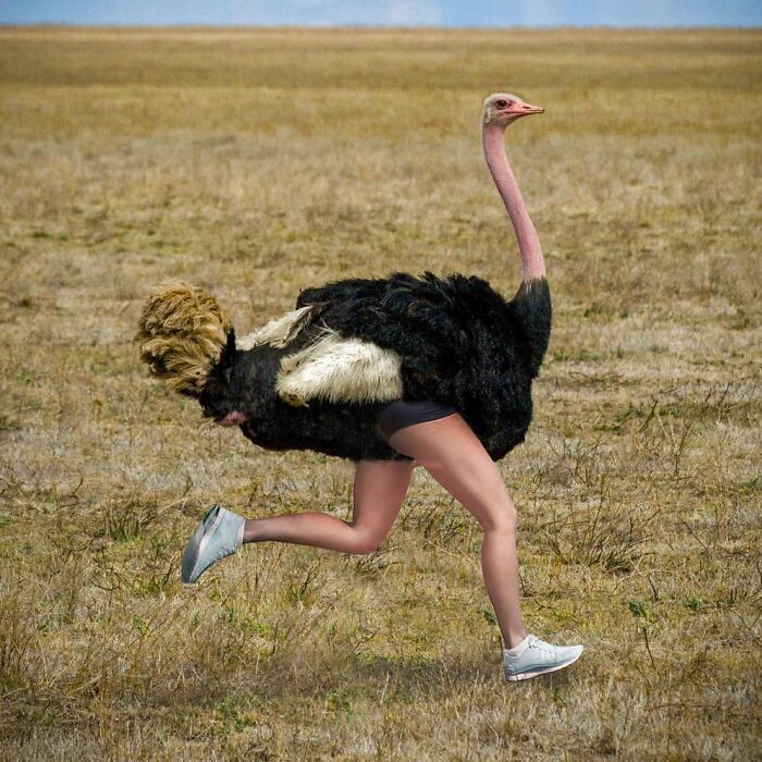 白雪公主!一组艺术家的疯狂照片拼贴画,白雪公主喝多也吐,建国的发现