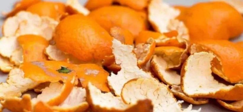 养蟹爪兰不能少了“这3样”，好好用，盆栽开花多又美