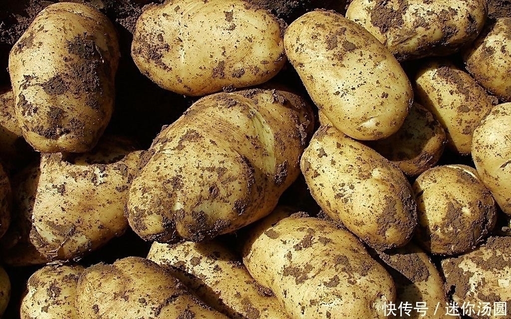 土豆|老中医:炒土豆不能放此物,吃了对身体不好,现在知道还不晚