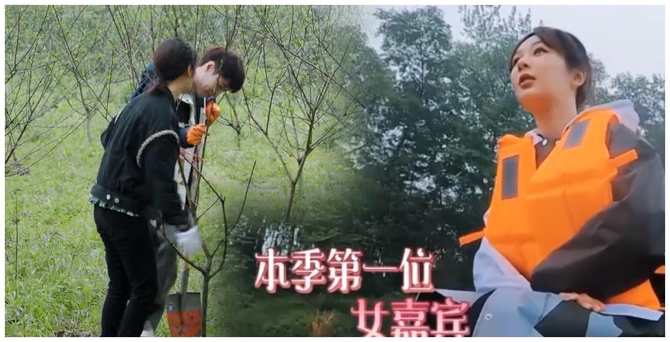 江之卿|杨紫飞行喊狗小八小H,张艺兴一改常态撒糖,两人无法公开有苦衷