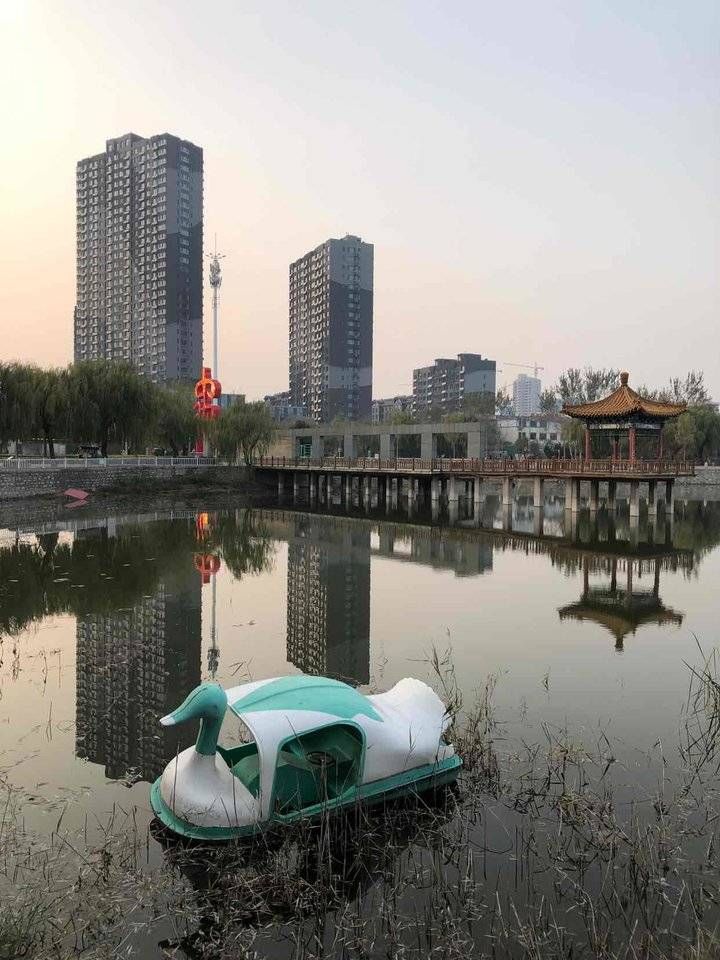 褚延锋|身边风景，最慰人心