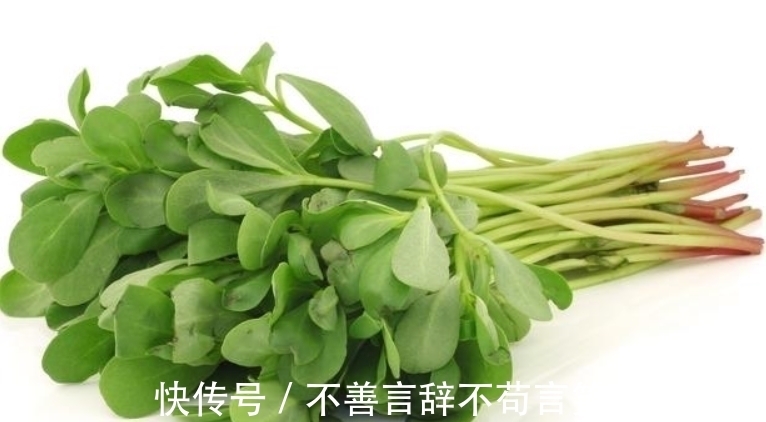 祖宗十八代|农村这种野菜,被誉为“长寿菜”,城里人想吃都买不到!