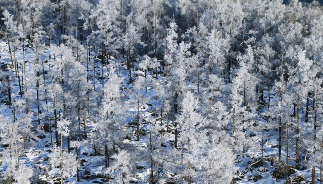  写出|杨万里两首绝美的咏雪诗，虽然有一些冷门，但是美得令人心醉