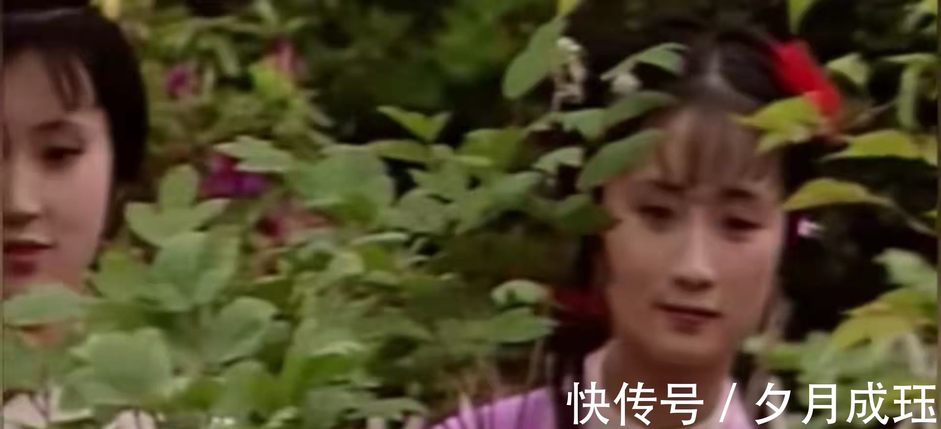 芍药!没有对比就没有伤害,一个简单的睡姿,看两版《红楼梦》的差距