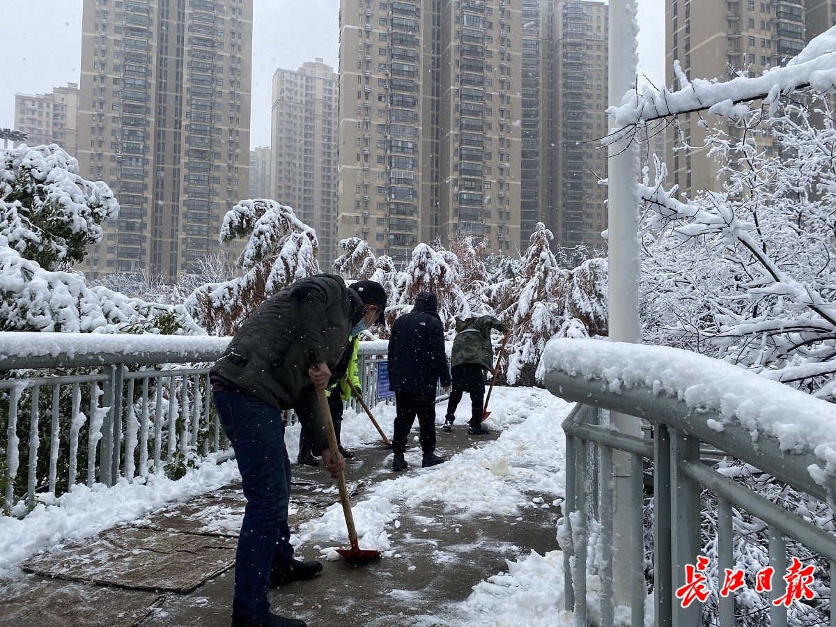 天桥|他们一夜未眠融雪防冻，武汉东湖风景区主干道“很好走”