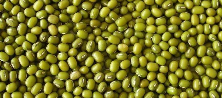 绿豆|绿豆和它天生一对!每天喝1杯,排出体内湿气,快告诉身边人